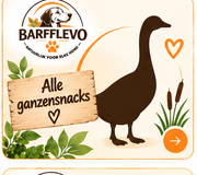 Gans