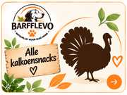 Kalkoen