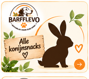 Konijn