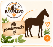 Paard