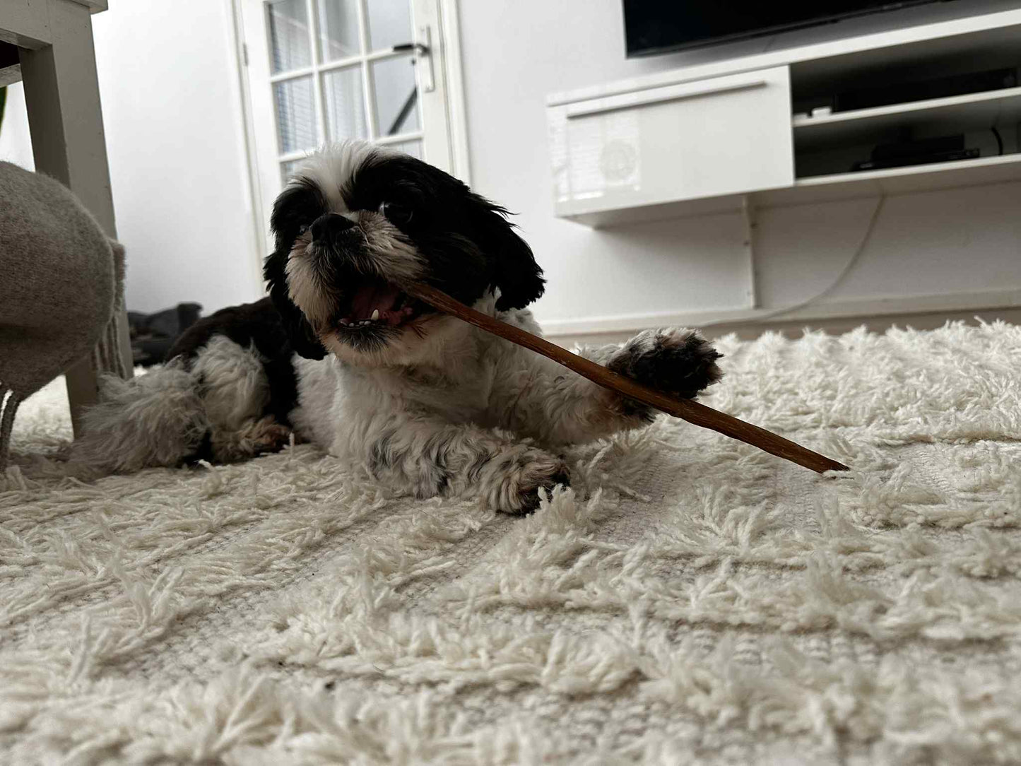 Bullepees 30cm ( Kneusjes ) 5st