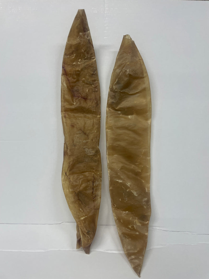 Runderblaas