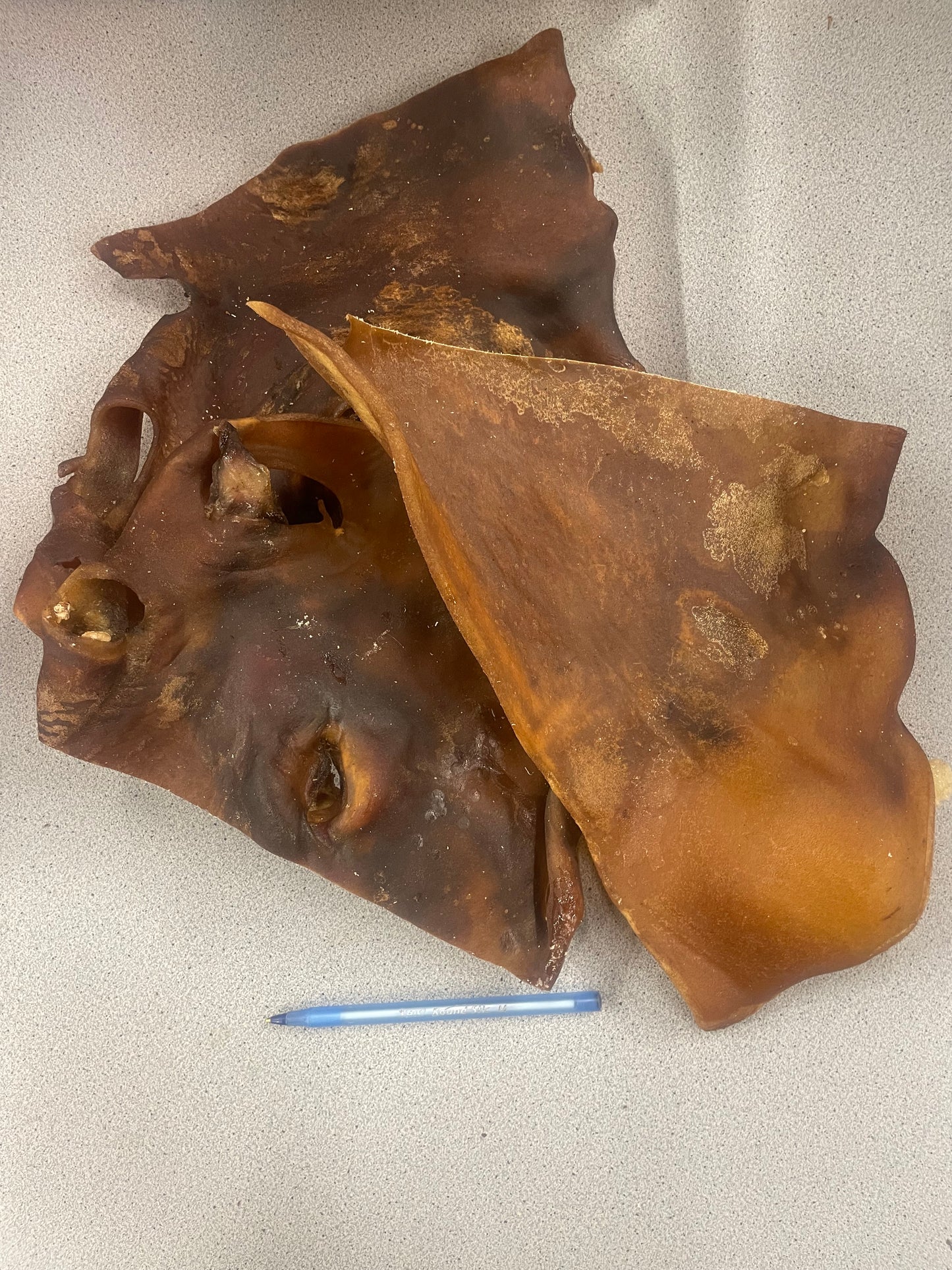 Black Angus Kophuid platen ( op maat gezaagd voor uw hond )