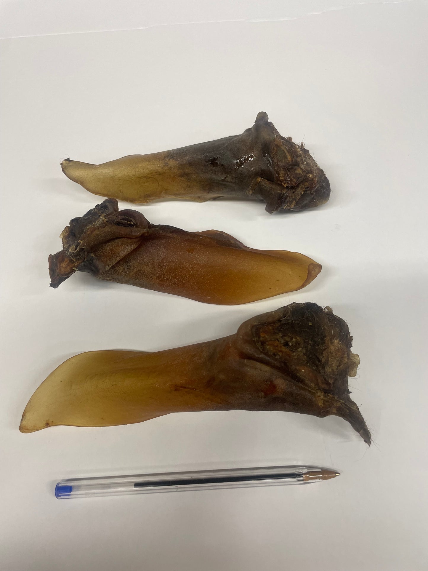 Paardenoren met vlees 3St