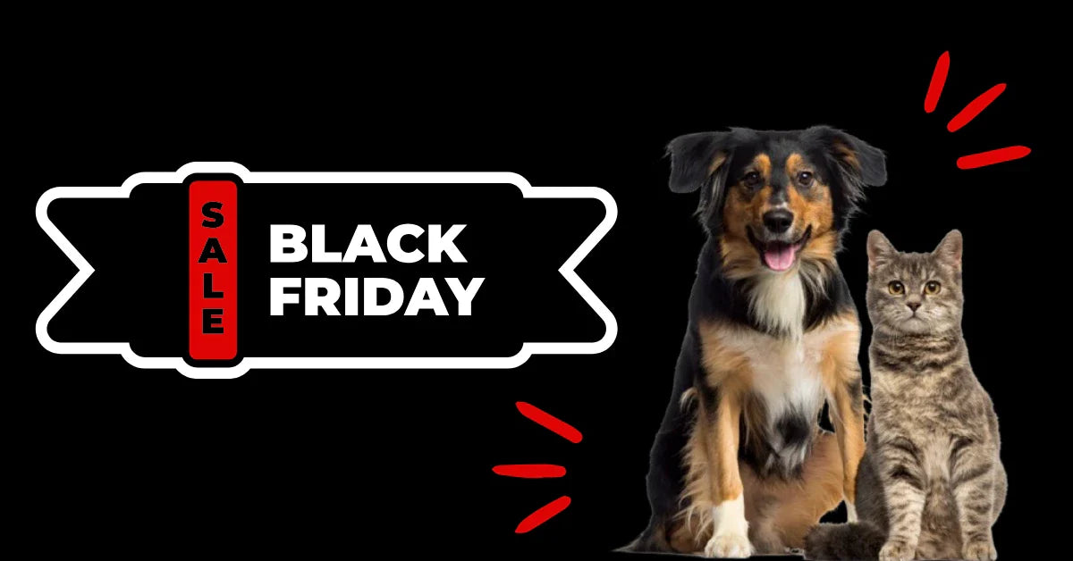 𝗕𝗹𝗮𝗰𝗸 𝗙𝗿𝗶𝗱𝗮𝘆 𝗦𝗮𝗹𝗲!