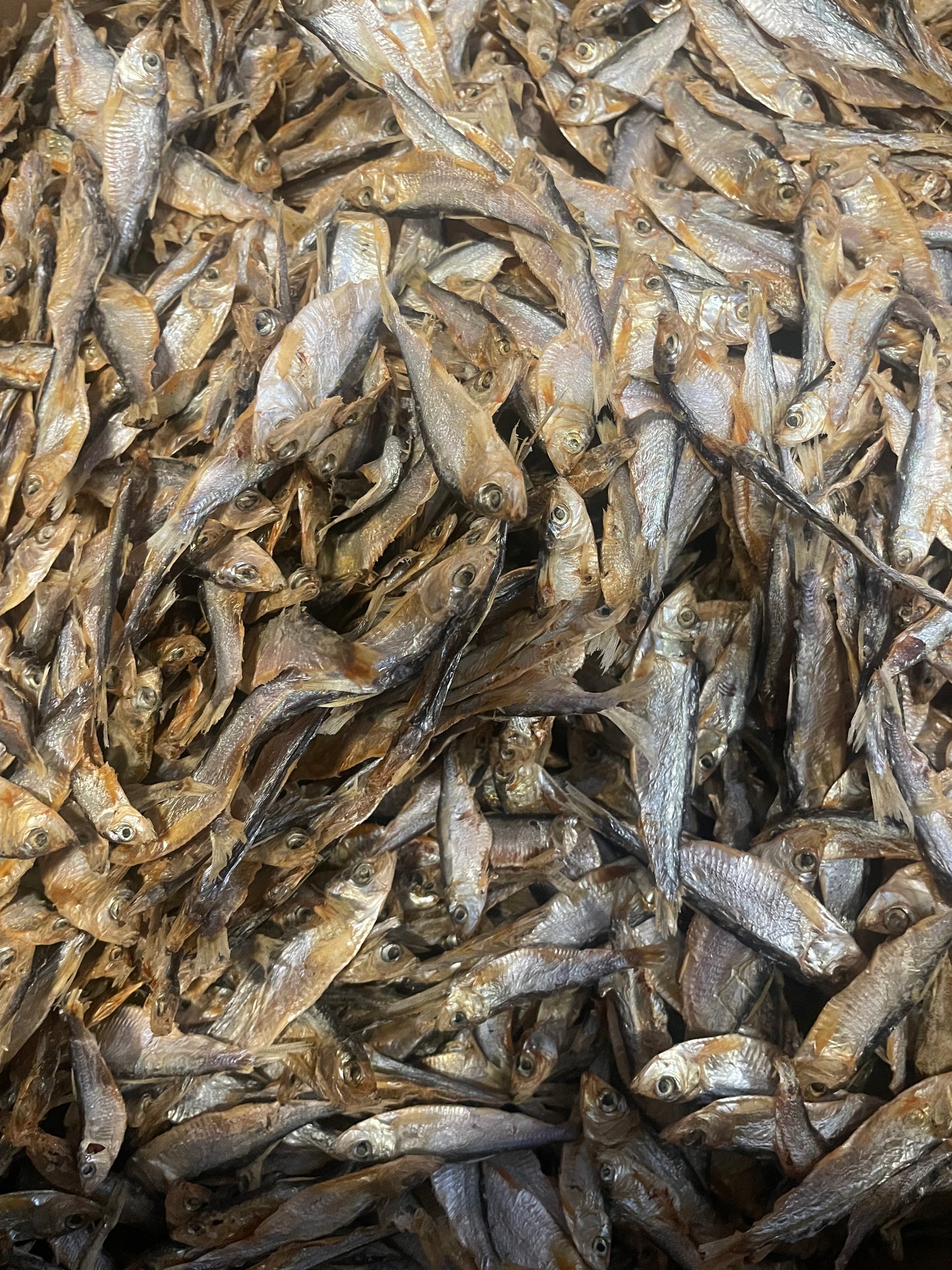 Spiering 100Gr 🇳🇱