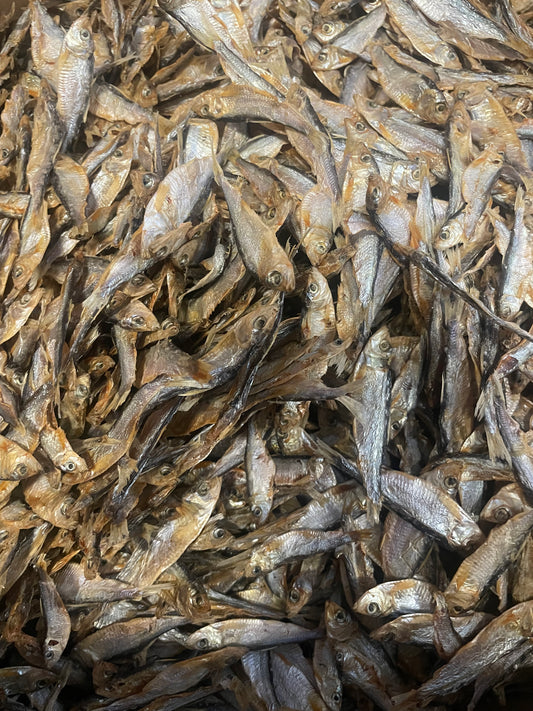 Spiering 100Gr 🇳🇱