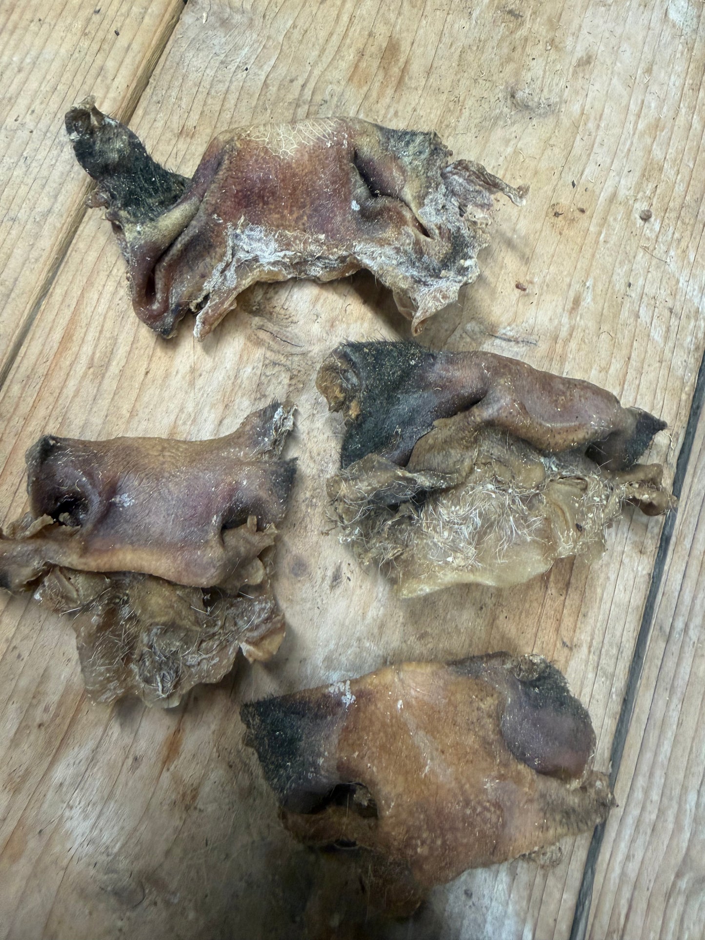 Hollandse Kalfsneuzen B keus 1000gr