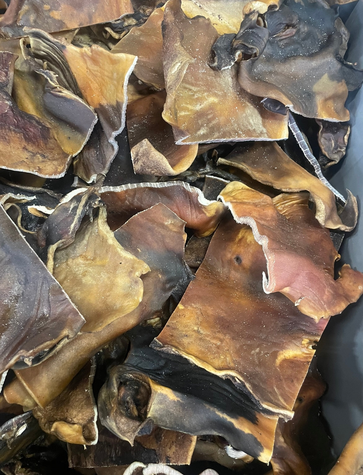 Black Angus Kophuid platen ( op maat gezaagd voor uw hond )