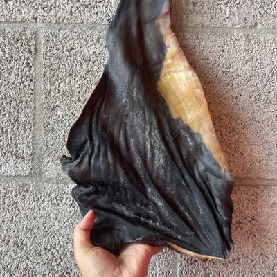 Black Angus Kophuid 12/15cm 1000Gr