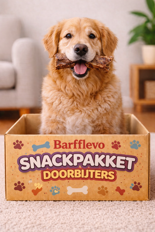 𝗦𝗻𝗮𝗰𝗸𝗽𝗮𝗸𝗸𝗲𝘁 𝗗𝗼𝗼𝗿𝗯𝗶𝗷𝘁𝗲𝗿𝘀