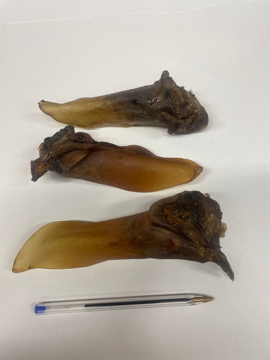 Paardenoren met vlees 3St