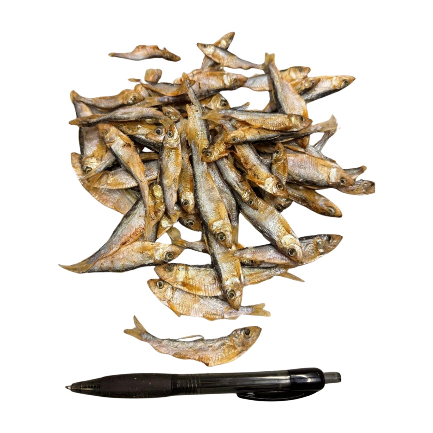 Sprot 🇳🇱 1000Gr