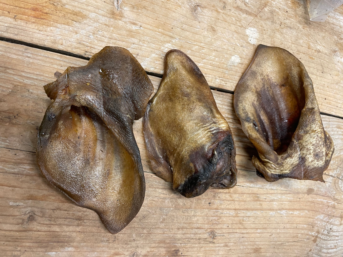 Wildzwijn oren 10 Stuks