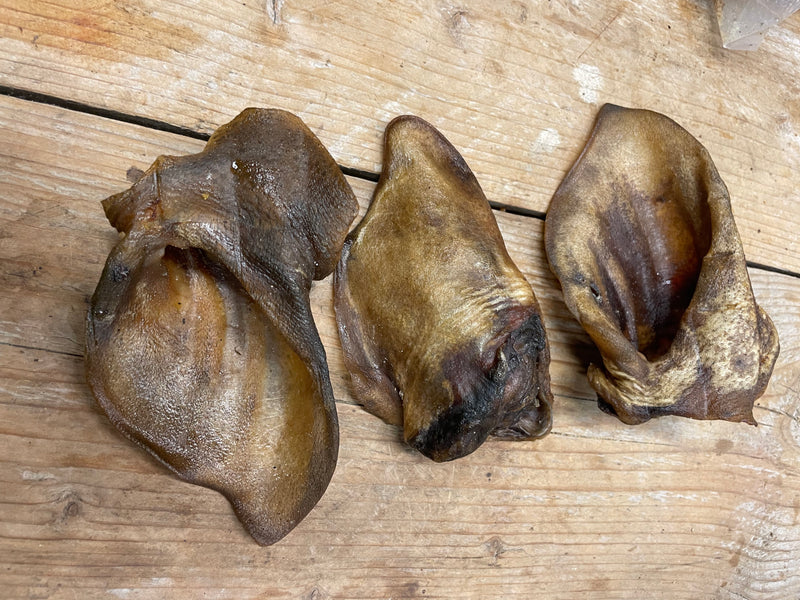 Wildzwijn oren 10 Stuks