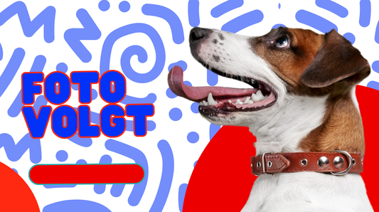 Gedroogde Bottenbouillon met Kurkma 100Gr