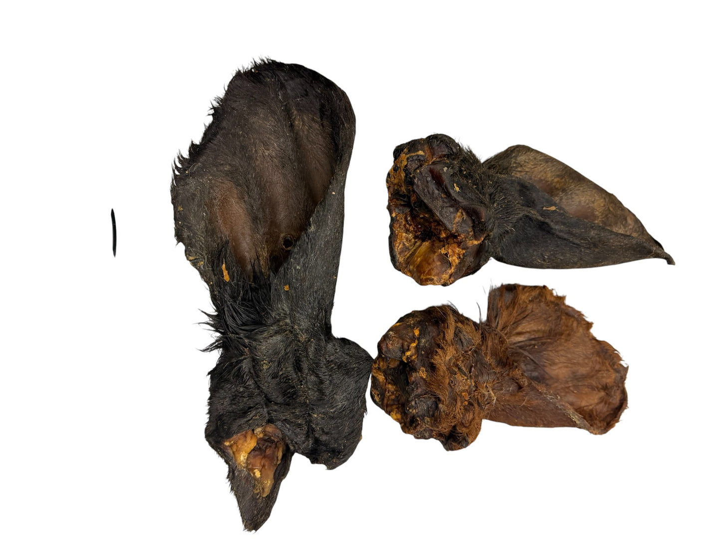 Hollandse Runderoren XL met vleespit 25stuks