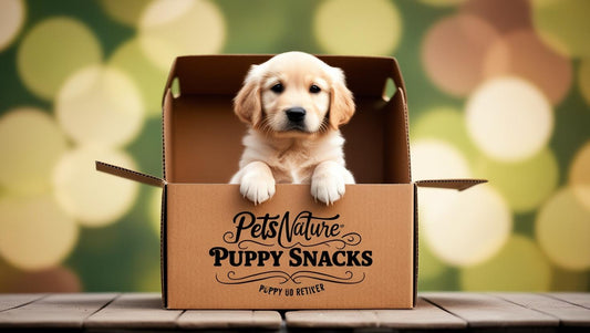 Barfflevo's Puppy Box