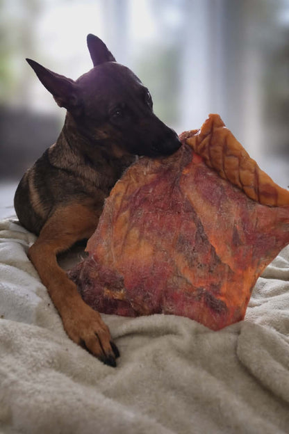 Runderkophuid platen XL- M-S 1000gr